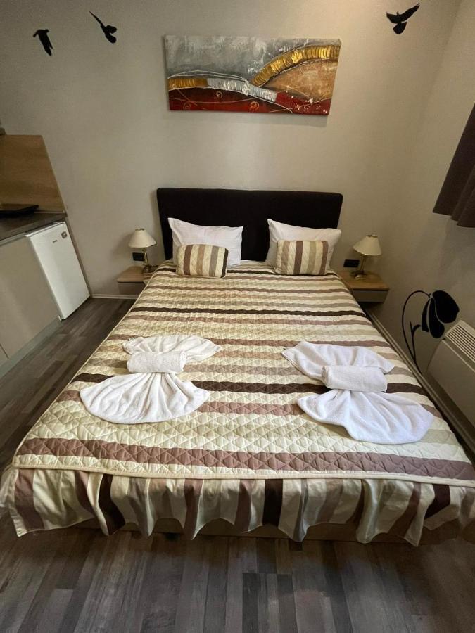 Apartman Pahuljica 科帕奥尼克 外观 照片